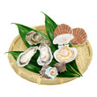 水彩タッチ　竹ザルに入った牡蠣とホタテとサザエ　葉蘭付き
