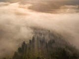 Fototapeta Na ścianę - Morning mist in Ukrainian Carpathian mountains. Aerial drone view.