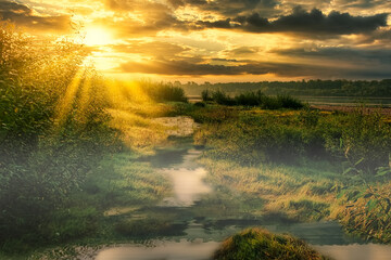 Wall Mural - beautiful dramatic landscape early morning on the river the first rays of the sun fog fishing season