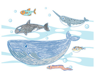 Canvas Print - Coloured hand drawn sea animals collection