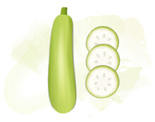 Bottle Gourd Vegetable Vector Illustration With Botter Gourd Round Slices From The Top View
