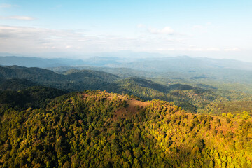 Canvas Print - high angle view of forest and mountains in summer