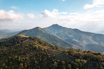 Canvas Print - high angle view of forest and mountains in summer