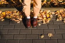 Female Legs In Yellow Trousers And Brown Hipster Shoes Standing On Paving Stones And Fallen Yellow Leaves On Sunny Autumn Day, Outdoors. Close-up, Top View