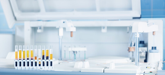 Wall Mural - medical lab equipment biomedical banner. test tubes with blood for automatic biochemical analyzer