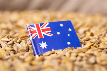 Canvas Print - Flag of Australia on barley grain. Concept of growing barley in Australia