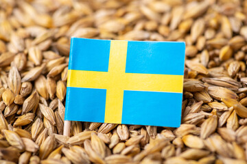 Sticker - Flag of Sweden on barley grain. Concept of growing barley in Sweden