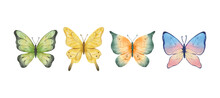 Colorful Butterflies Watercolor Isolated On White Background. Green, Yellow, Blue And Pink Butterfly. Spring Animal Vector Illustration