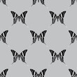 butterfly polka dot pattern
seamless black and white