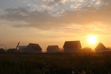 sunset over the field