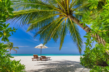 Beautiful tropical island landscape, freedom sun chairs, loungers umbrella under palm tree leaves. White sand, sea shore horizon. Beach vacation, summer resort, couples destination, tranquil nature