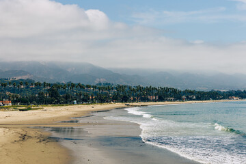 Canvas Print - Santa Barbara, California. USA. Tropical tall palm trees on residential area near the beach of Santa Barbara.