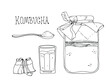 Hand drawn illustration of Kombucha. Ingredients for homemade fermented tea. Healthy beverage. 