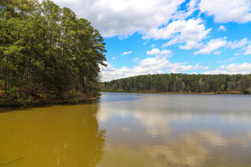 a silky brown still lake surrounded by lush green trees and blue sky and clouds reflecting off the water at Murphey Candler Park in Atlanta Georgia USA