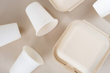 Empaques Y Vasos Desechables Biodegradables Cuidando El Planeta Con Productos Ecofriendly Y Sustentables