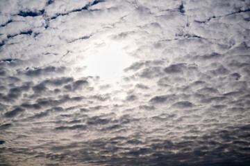 Poster - white clouds and blue sky