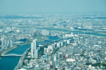 Wall Mural - Taking in Tokyo