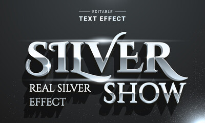 Wall Mural - Editable 3D Black Silver Text Effect