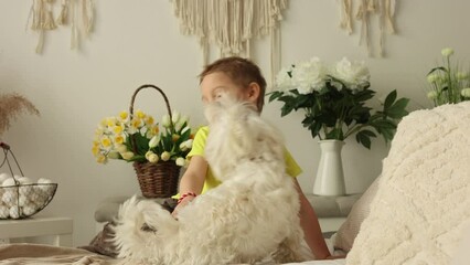 Poster - Cute little preschool boy with his pet dog, playing together in bed at home