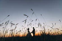 Wedding. Nature. The Groom In A Suit And The Bride In A White Dress Are Standing In An Autumn Field Against The Backdrop Of The Sunset Sky And The Sun's Rays