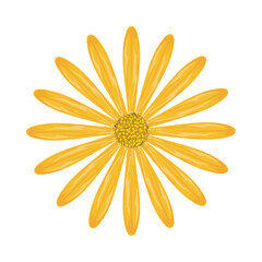 Wall Mural - yellow flower icon