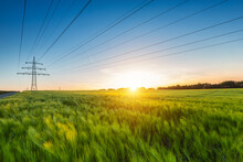 Cornfield Before Sunset At Dusk With Power Pole Concept Image