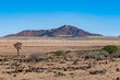 Namibia, panorama of the Namib desert
