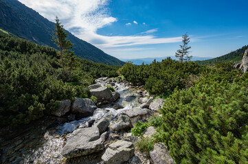 Sticker - Scenic view of rocky mountain creek in High Tatras mountain range in Slovakia