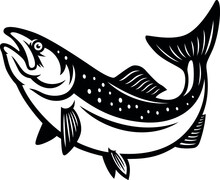 Salmon Fish Vector Illustration In Monochrome Style