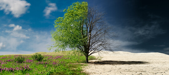 climate change concept. tree in two parts with green and healthy nature versus drought and polluted 
