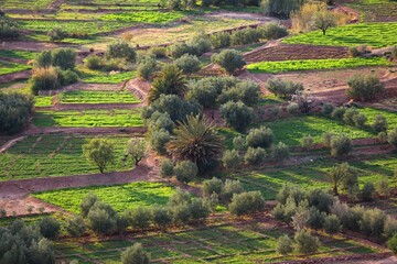 Sticker - Agriculture near Ouarzazate, Morocco