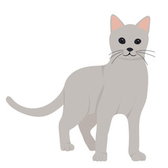 Wall Mural - cat flat design, isolated, vector