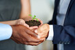 © Cecilie S W/peopleimages.com - Start small, grow tall. Closeup shot of a group of businesspeople holding a plant growing out of soil.