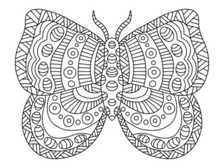 Fantasy hand-drawn butterfly or moth linear vector illustration. Decorative insect coloring page for adults vector illustration. Symmetry mole with ornaments on wings printable page