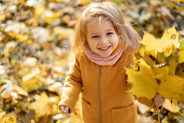 Child in the autumn park. A little girl in a coat collects a bouquet of autumn golden leaves. Children play outdoors while hiking in the forest. under a maple tree on a sunny October day.