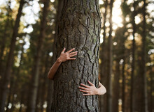 Trees Deserve Love Too. Shot Of An Unidentifiable Young Woman Hugging A Tree In The Forest.