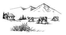 Cows Graze In Alpine Meadows Vector Sketch.