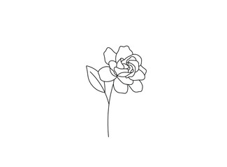 Wall Mural - Vector isolated single pretty gardenia flower blossom colorless black and white contour line drawing