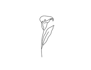 Wall Mural - Vector isolated single pretty alcatraz flower blossom colorless black and white contour line drawing