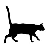 Fototapeta Koty - Black silhouette of a cat on a white background.