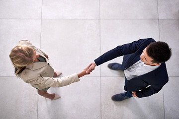 Wall Mural - Welcome to the company. High angle shot of two professional businesspeople shaking hands in the office.