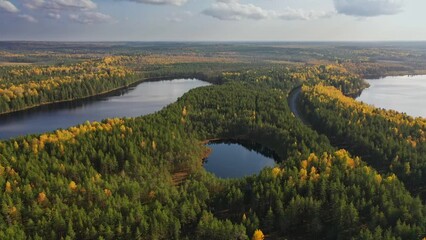 Wall Mural - Aerial view of the beautiful autumn landscape in sunny day. Forest and calm tranquil lake. White clouds mirroring on water surface.	