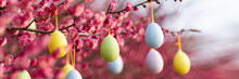 Stylish Background With Colorful Easter Eggs Hanging On Blooming Plum Tree Branches Outdoor In Park Or Garden. Horizontal Long Banner For Web Design With Copy Space