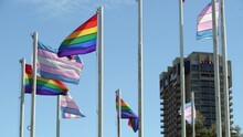 Gay Pride And Trans Pride Flags In The Wind 4K UHD. Rainbow Colored Gay Pride, Trans Pride, And Canadian Flags Flutter In The Wind Beside English Bay In Vancouver’s West End Neighborhood. 4K, UHD.
