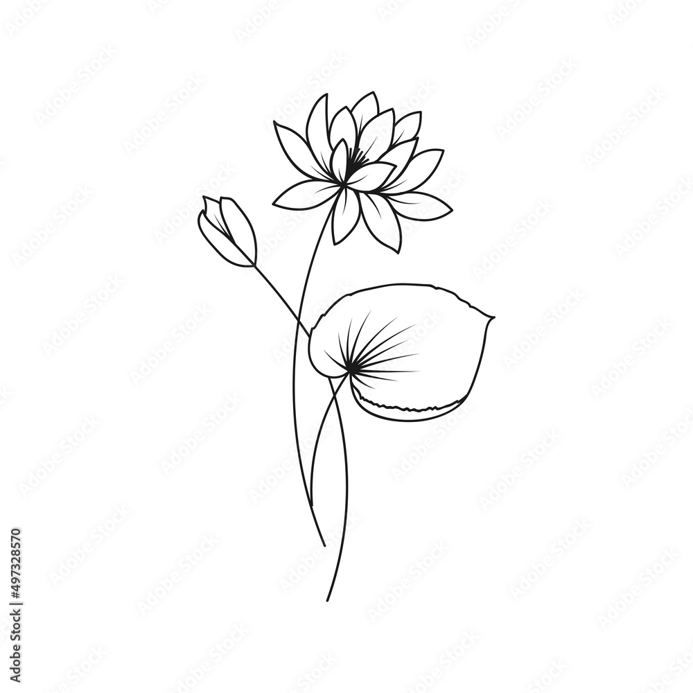 Water Lily July Birth Month Flower Illustration Stock Vector | Adobe Stock