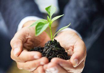 Passion is the seed, profit is the fruit. Shot of an unrecognisable businessman holding a plant growing out of soil.