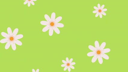 Canvas Print - white flowers pattern in green background