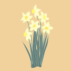 Wall Mural - Big bunch of yellow narcissus with green leaves. Cartoon narcissus bouquet. Garden daffodil flower isolated on white background. Doodle vector illustration.