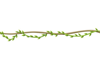 Liana stem border. Rainforest green vine or twisted plant hanging on branch. Cartoon jungle creeper. Tropical nature plant