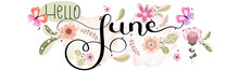 Hello June. JUNE Month Vector With Flowers, Butterflies And Leaves. Decoration Floral. Illustration Month June	Calendar

